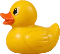 rubber duck